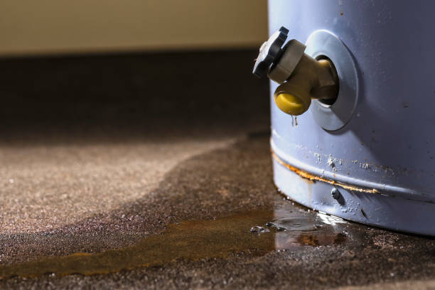  Talahi Island, GA Water damage restoration Pros