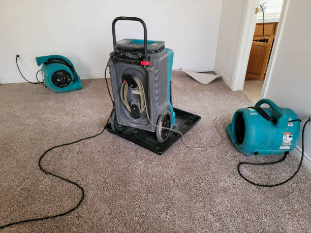 Best Fire Damage Restoration  in Talahi Island, GA