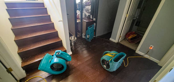Talahi Island, GA Water damage restoration Company