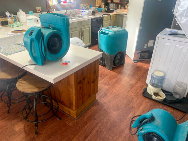 Best 24-hour water damage restoration  in Talahi Island, GA