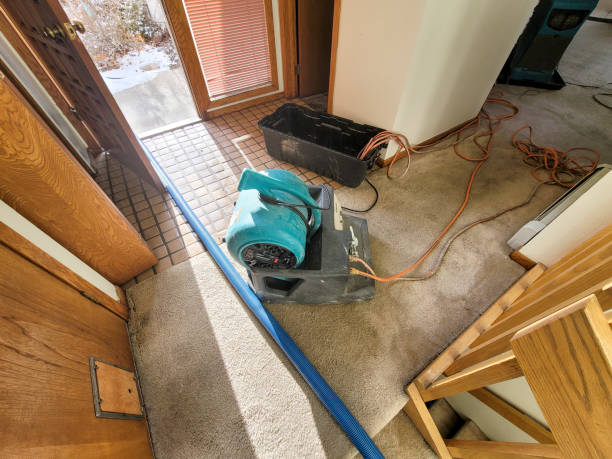 Best Water damage restoration mold remediation  in Talahi Island, GA