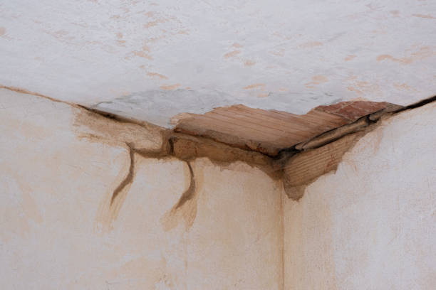 Best Water damage restoration specialists  in Talahi Island, GA