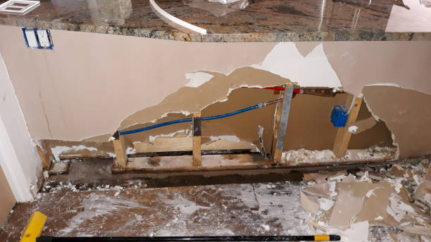 Best Professional water damage repair  in Talahi Island, GA