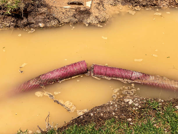 Best Local water damage restoration  in Talahi Island, GA